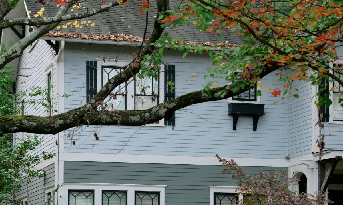 Two-story historic home framed by autumn tree branches