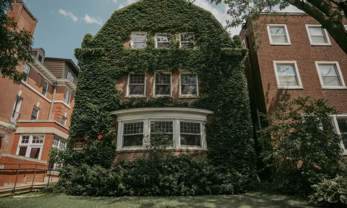 Ivy-covered brick house between neighboring buildings