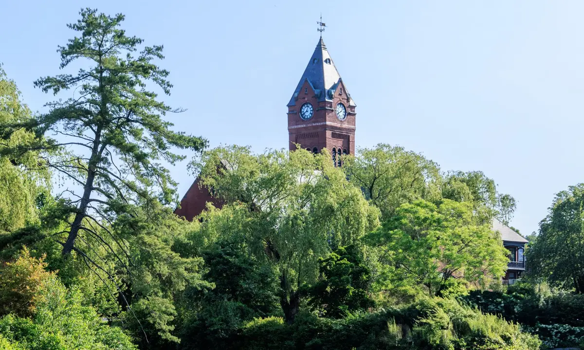 Brick town hall clock tower rising above trees