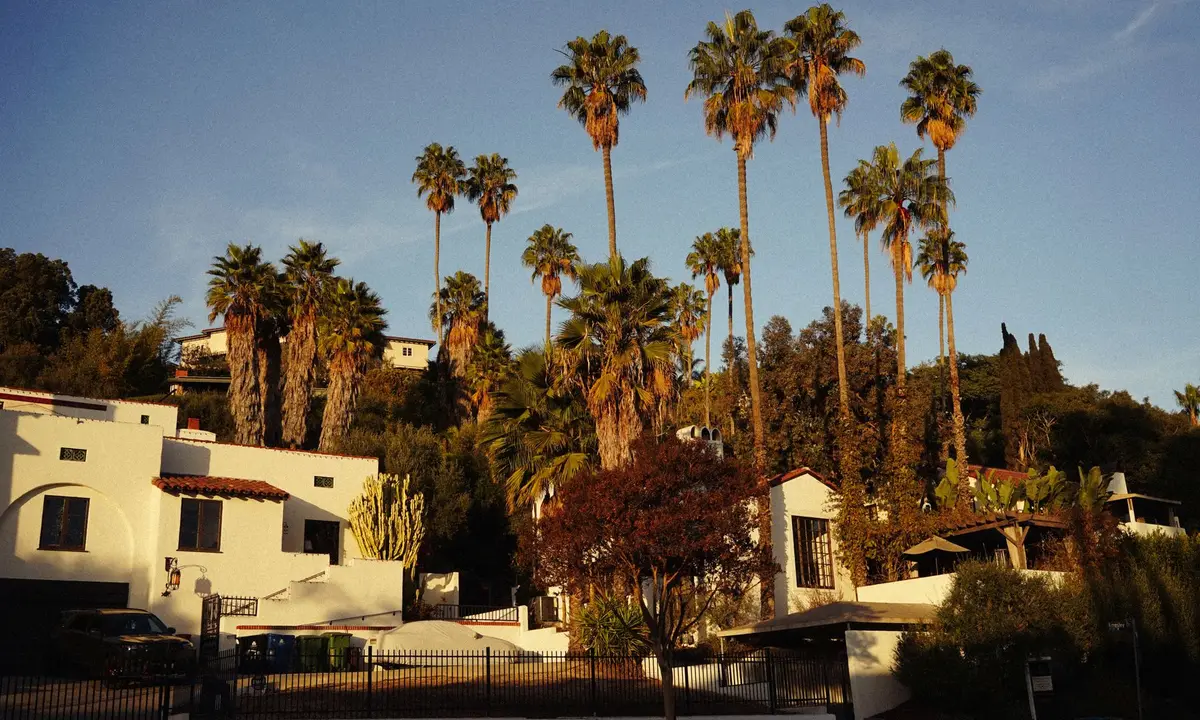 Spanish-style homes beneath tall palm trees at sunset